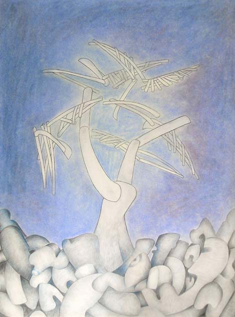 Giancarlo Pozzi, the fall